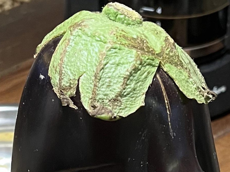 厨房の台に置かれた長い鼻のついたナス