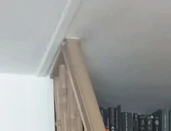 本棚として利用されている行き止まりの個人宅の階段