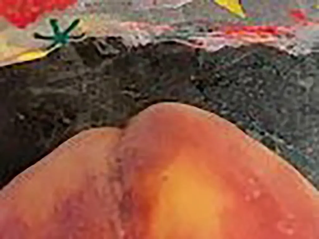 保護ネットと保護ネットの跡が星模様のように浮き出た桃