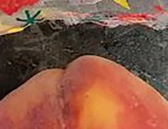 収穫して袋を外すと…？　ある桃に起きた『まさかの事態』が「完全にドラゴンボール」だと話題