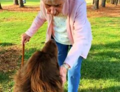 「この物語を絵本にしてほしい」「ウルっときた」　庭にいくつも穴を掘った犬　それを見たおばあさんは…？