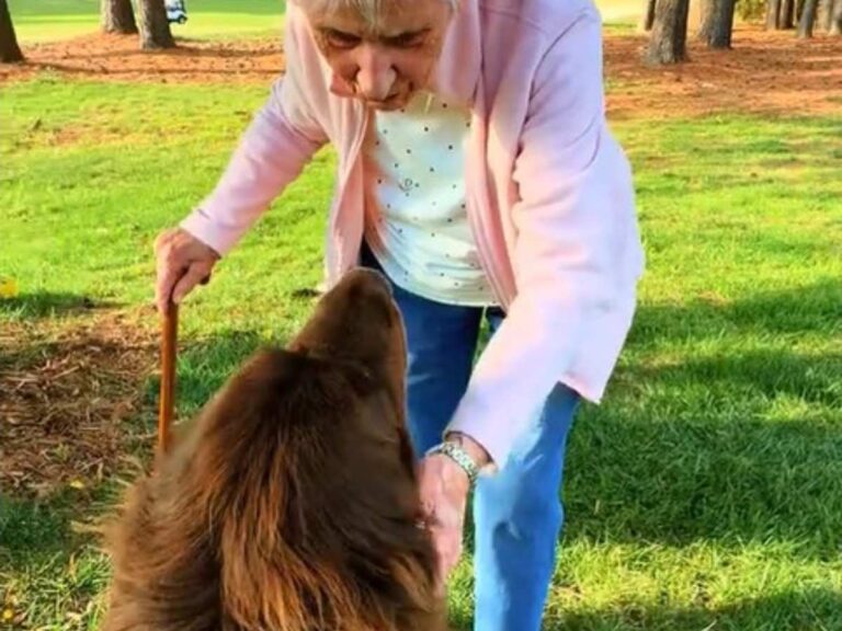 おばあさんと犬の写真