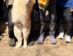 記念撮影をする父親と犬の写真