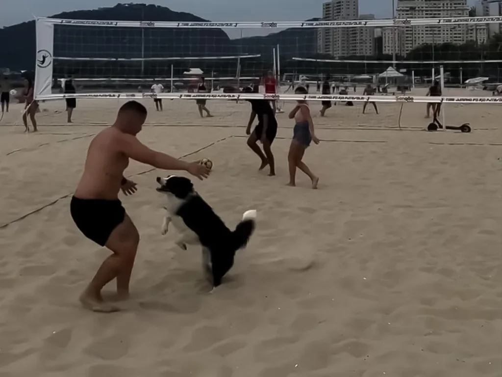 犬と男性の写真