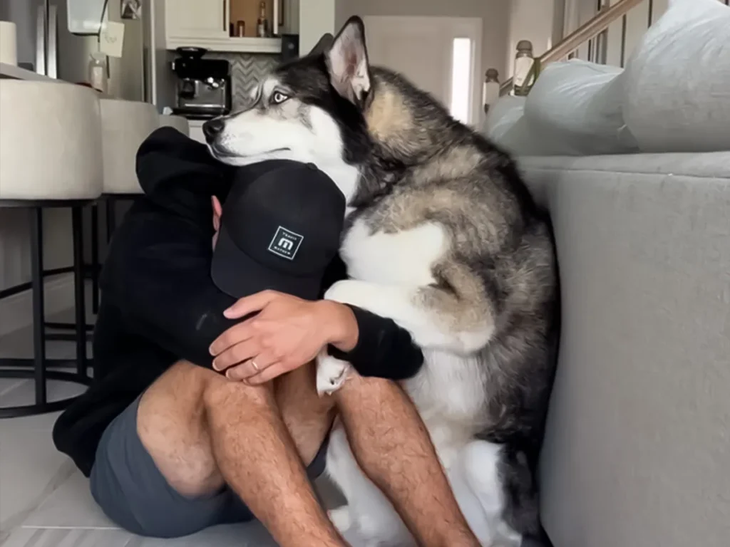 犬と男性の写真