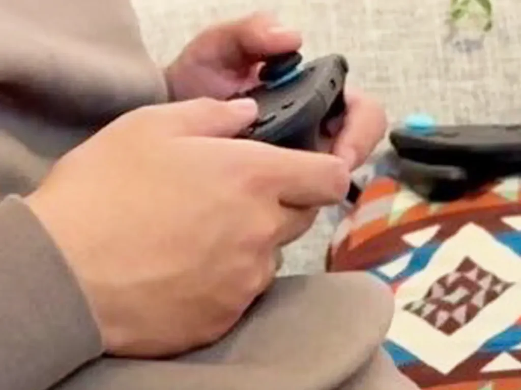 飼い主の膝で寝るチワワの写真