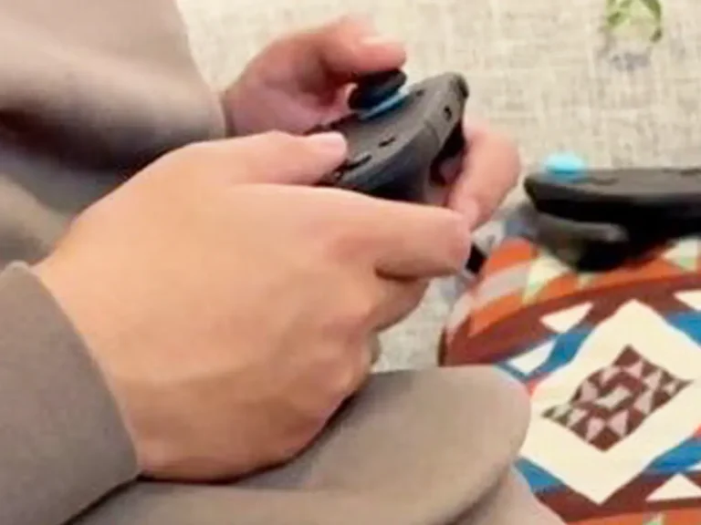 飼い主の膝で寝るチワワの写真