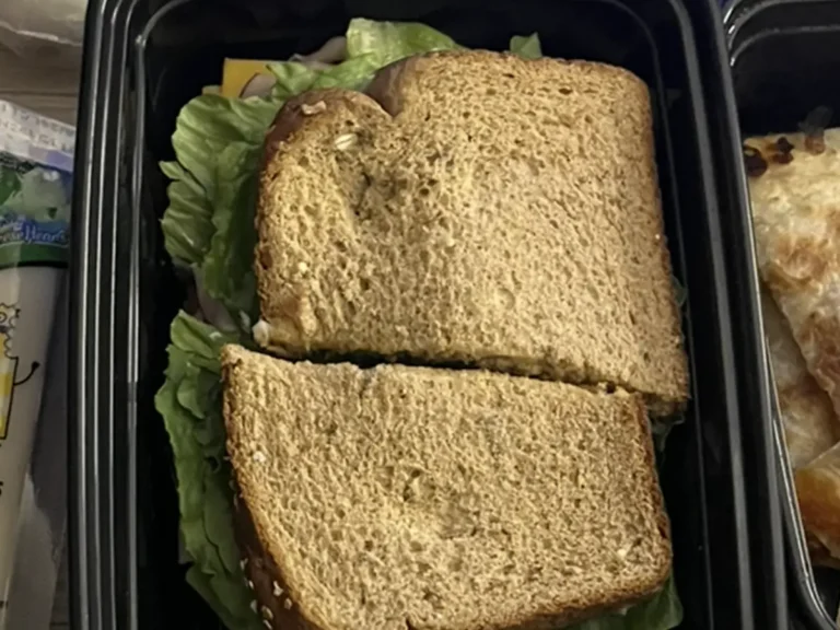 「しっかり食べてね」夫が渡した弁当の写真