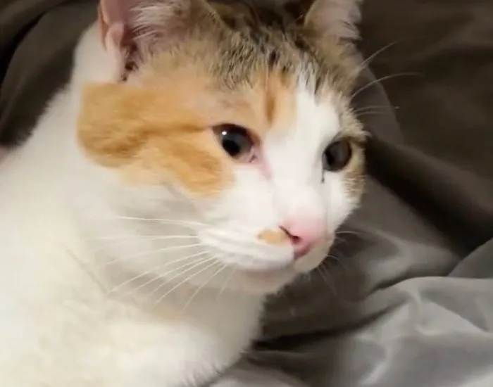 間違いに気づいたセルジオ悦子ちゃん