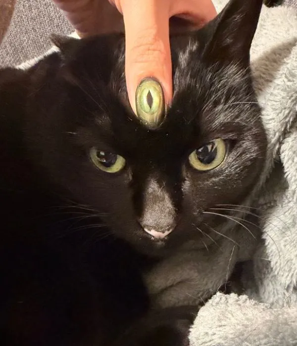 第3の目が出現した様子