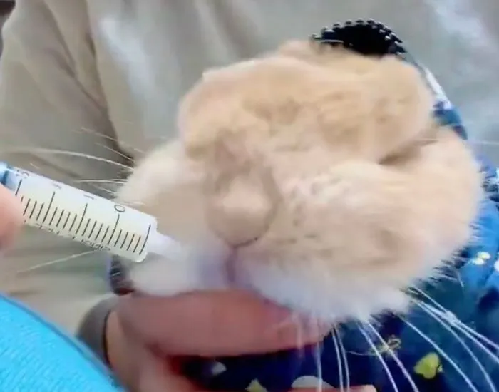 シリンジに気づいて苦い顔をするむぎくん