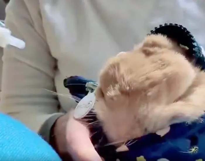 素早く顔を引っ込めるむぎくん