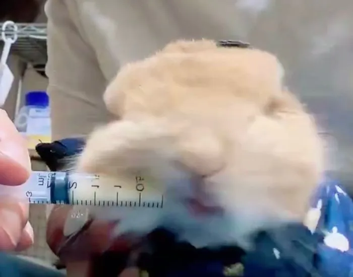 途中でまた顔を引っ込めるむぎくん