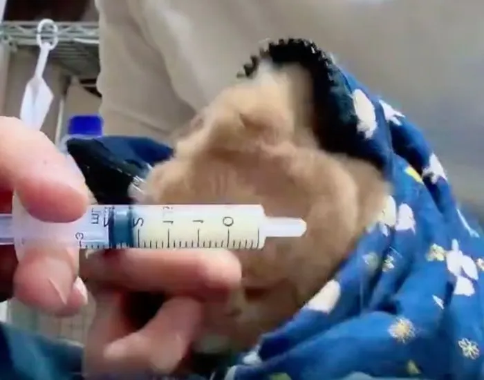 最後まで抵抗を見せるむぎくん