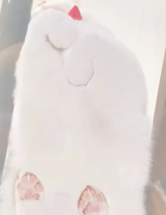 香箱座りになり体が広がるミルコくん