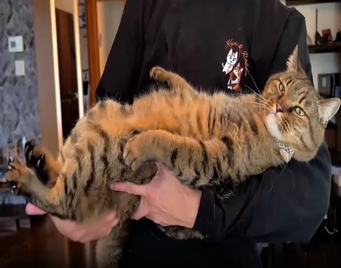 脚が下がってくる様子