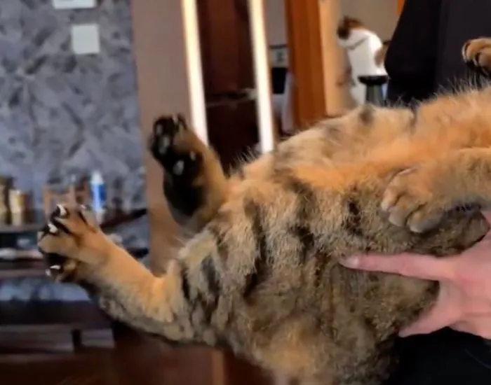 指先を開いている様子