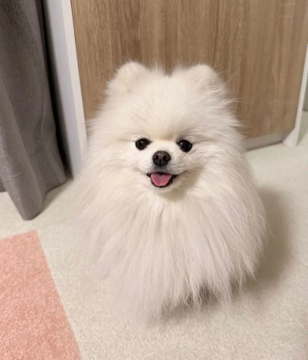 晴れている時のおもちちゃんの様子