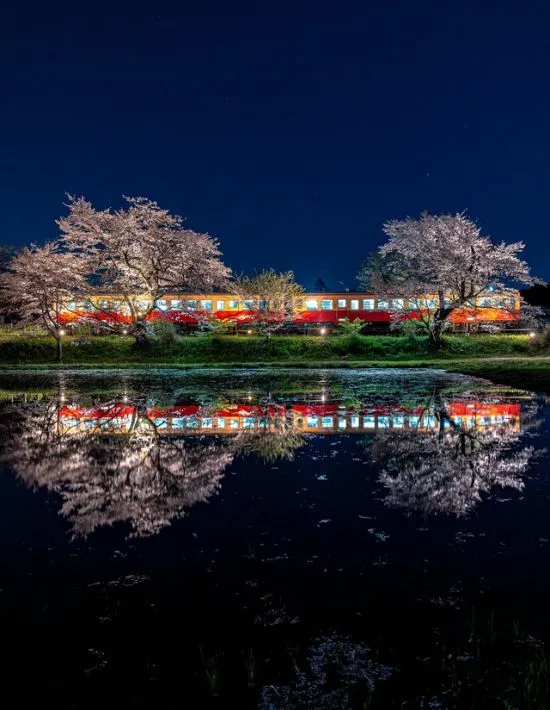 水面に映る美しい風景
