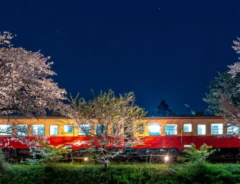 無人駅で撮られた夜桜と列車　水面に映る姿に「まるで銀河鉄道」「幻想的だ…」