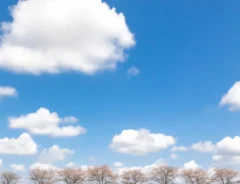 桜の撮影中に偶然通った赤い車　その瞬間に「グッジョブ」「完璧な構図」