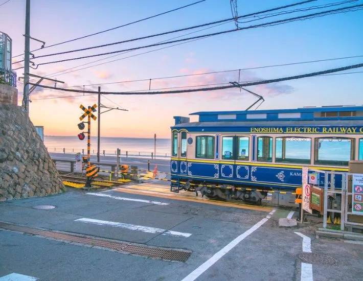 海を運んでいるように見える江ノ電