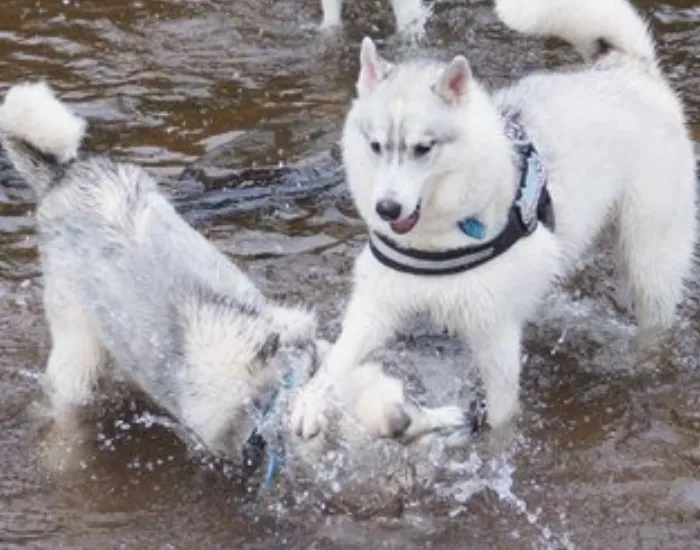 妹を沈めている兄