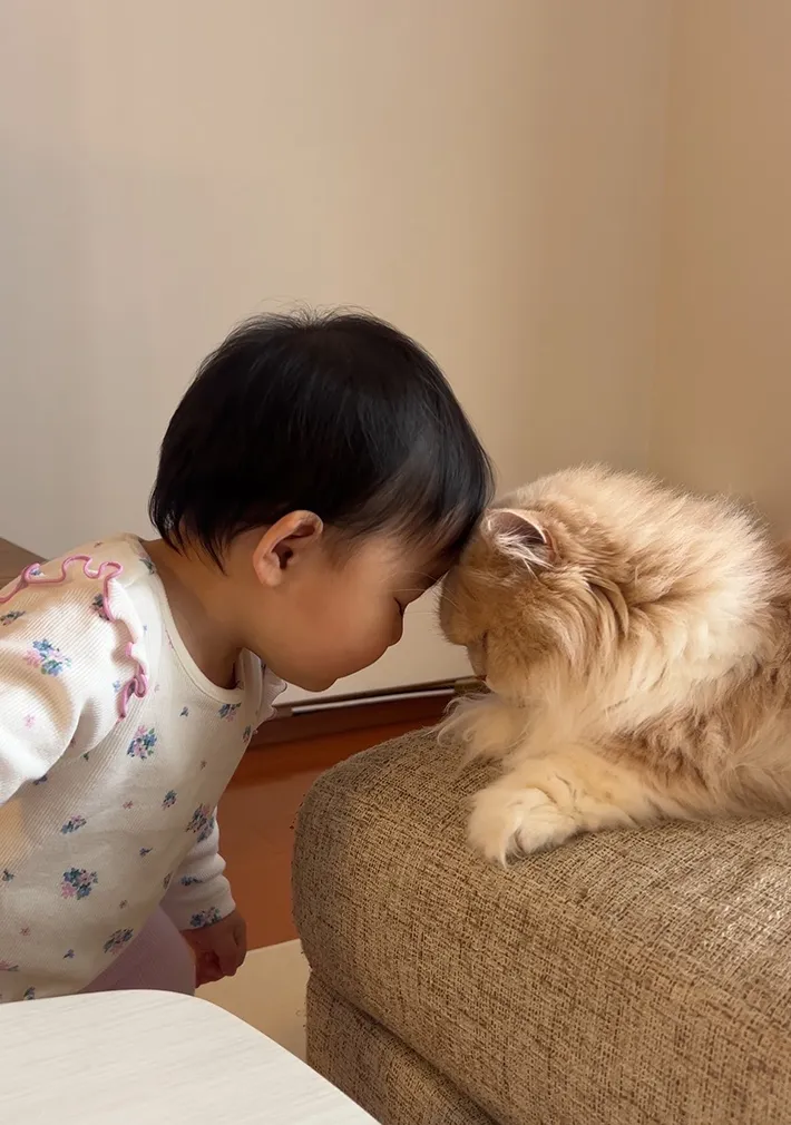 猫と子供