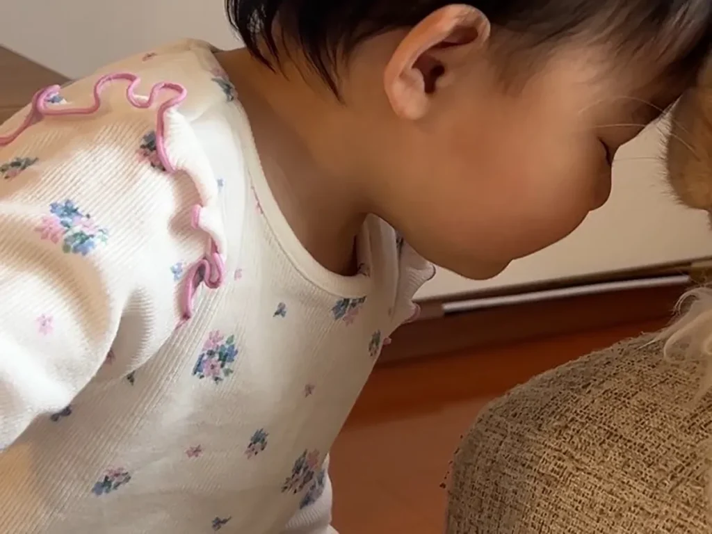 猫と赤ちゃん