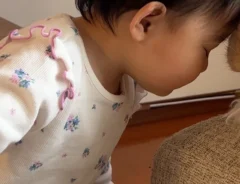 猫と赤ちゃん