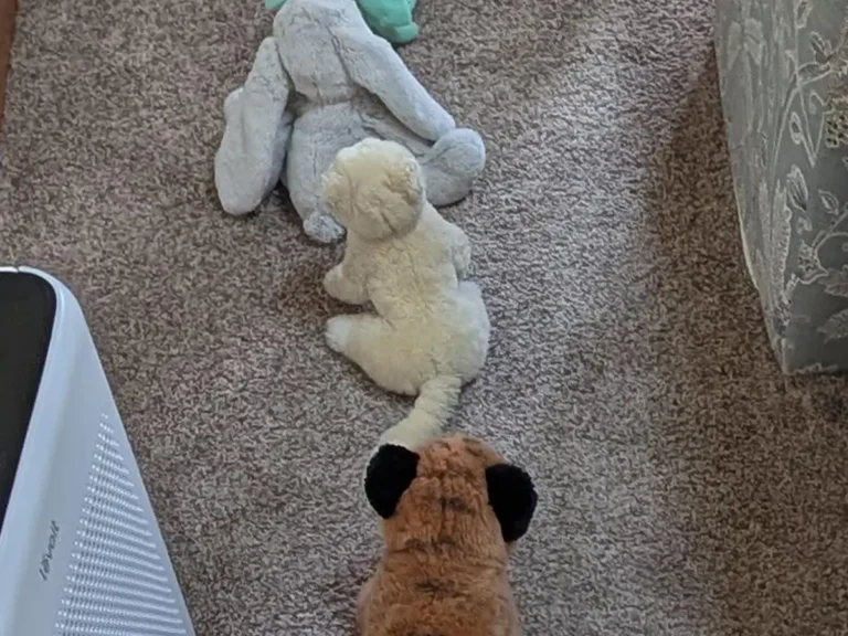 4歳児のパーティーに遅刻した父親の写真