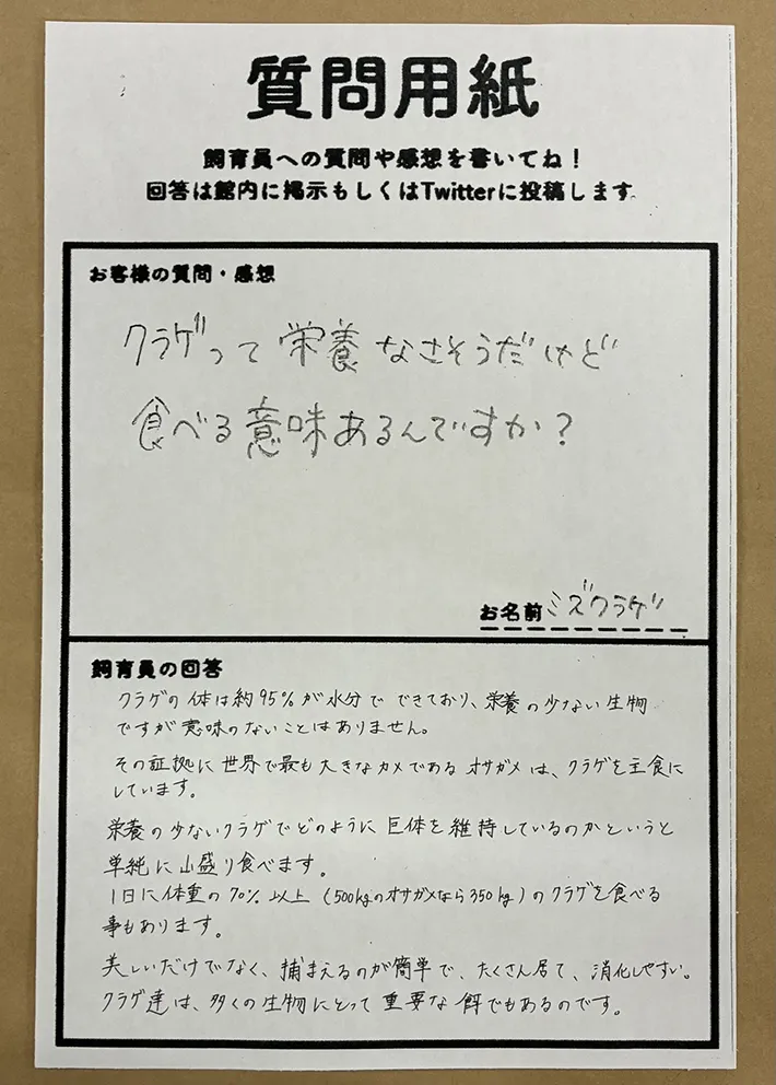 質問用紙