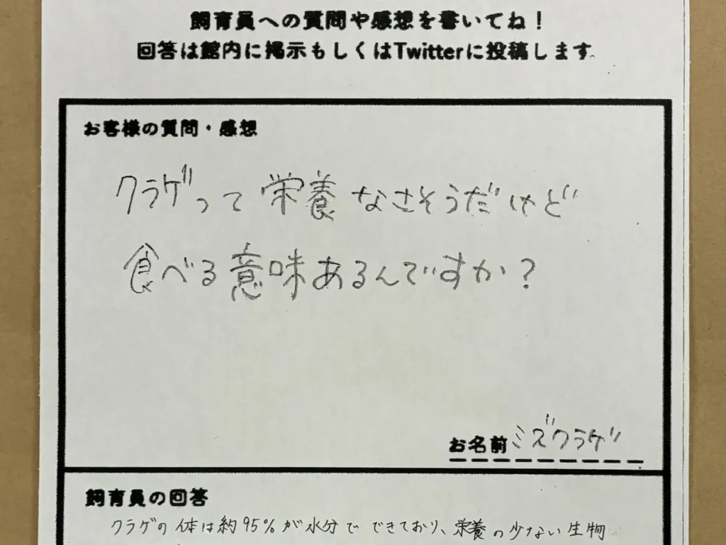 質問用紙