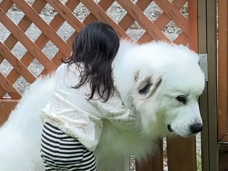 3歳の娘さんと犬のシュシュちゃんの画像