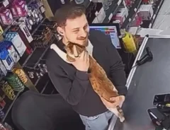 毎朝お店に通ってハグを求める猫の写真