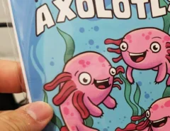 海外のカードに描かれたウーパールーパーたち