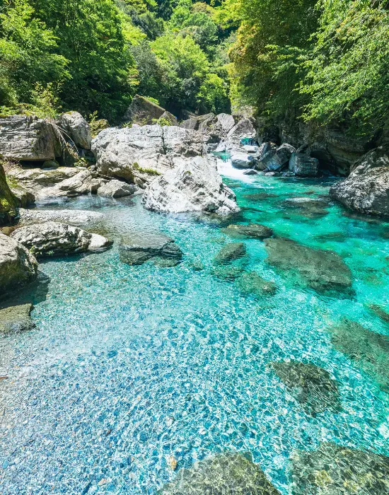 美しい水面
