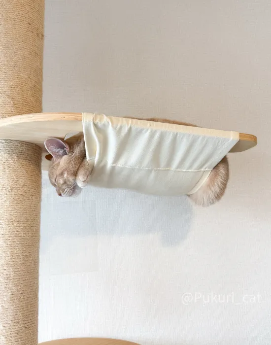 ハンモックに挟まるようにして寝る猫